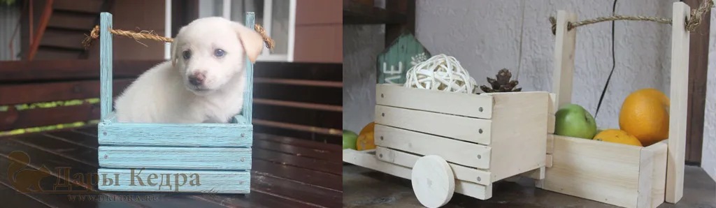 коллаж для статьи.jpg